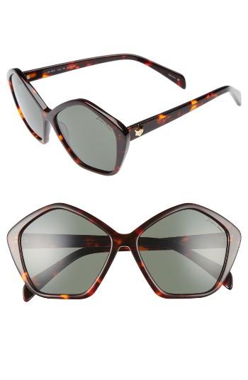 Women's Draper James 57mm Gradient Lens Geometric Sunglasses - Tortoise