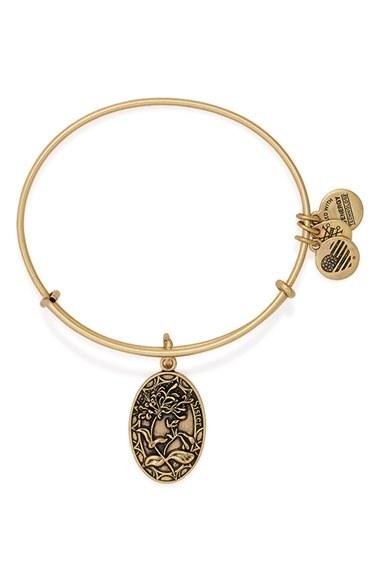 Women's Alex And Ani 'i Love You Sister' Expandable Wire Bangle