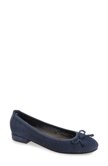 Women's David Tate Albany Perforated Flat .5 W - Blue