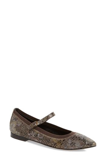 Women's Isola Palleteri Pointy Toe Flat M - Beige
