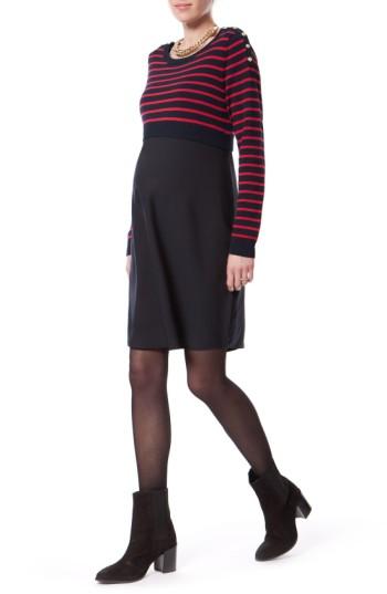 Women's Seraphine Emma Stripe Maternity/nursing Dress - Blue