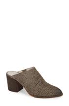 Women's Caslon Miccah 2 Perforated Mule .5 M - Grey