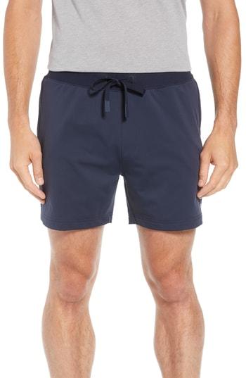 Men's Alo Regenerate Shorts - Blue