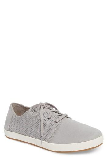 Men's Toms Payton Perforated Sneaker M - Grey