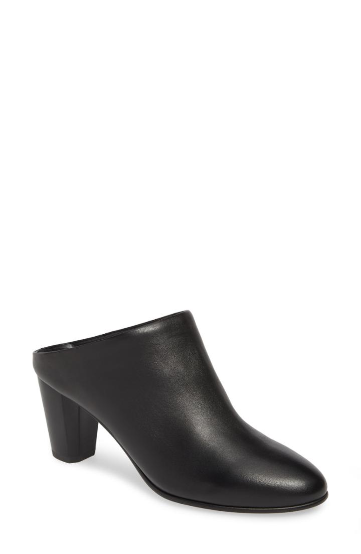 Women's David Tate Bold Mule M - Black