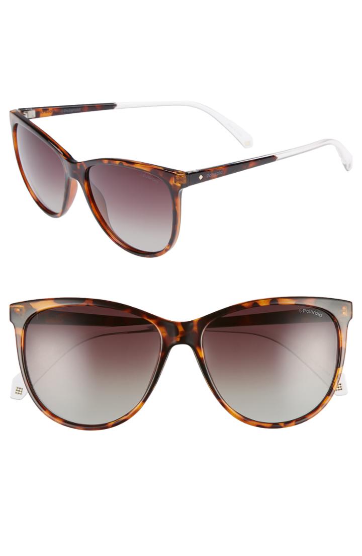 Women's Polaroid Basic 57mm Polarized Sunglasses - Dark Havana