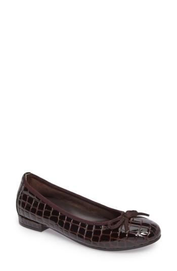 Women's David Tate Glow Flat N - Brown