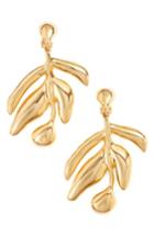 Women's Oscar De La Renta Small Graphic Botanic Earrings