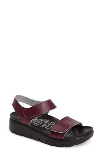 Women's Alegria Playa Sandal -6.5us / 36eu - Purple