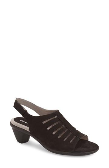 Women's David Tate 'lexus' Slingback Sandal N - Black