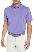 Men's Peter Millar Halifax Stripe Stretch Jersey Polo - Purple