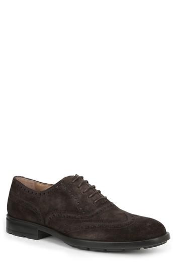 Men's Bruno Magli Oliver Wingtip M - Brown
