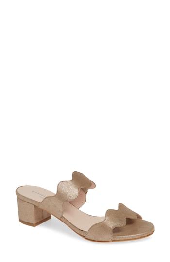 Women's Patricia Green Palm Beach Slide Sandal M - Brown