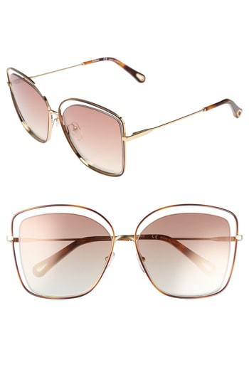 Women's Chloe 60mm Halo Frame Sunglasses - Havana/ Green Rose