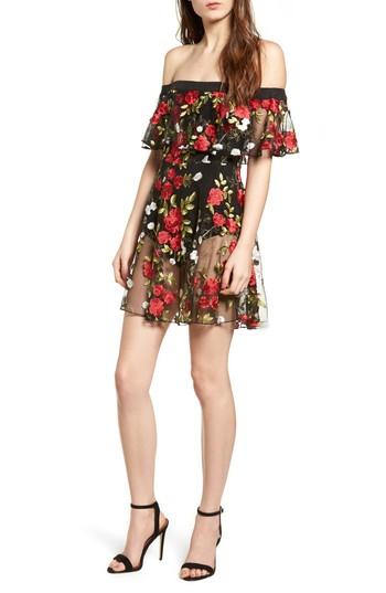 Women's Lovers + Friends Erica Sheer Embroidered A-line Dress - Red