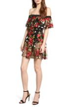 Women's Lovers + Friends Erica Sheer Embroidered A-line Dress - Red