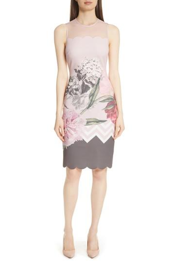 Women's Ted Baker London Palace Gardens Body-con Dress - Pink