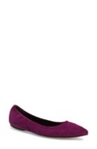 Women's Linea Paolo Nico Pointy Toe Flat .5 M - Purple