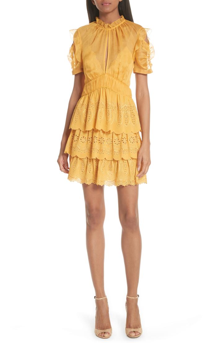 Women's Self-portrait Chiffon & Broderie Anglaise Dress
