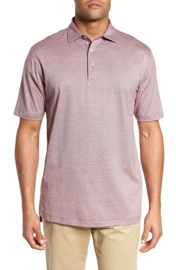 Men's Peter Millar Briarwood Stripe Cotton Polo - Purple