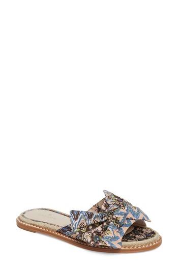 Women's Caslon Darcie Slide Sandal M - Blue