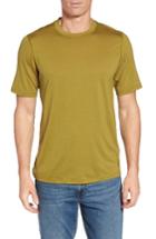 Men's Ibex 'all Day Weightless Wool Blend' T-shirt - Green