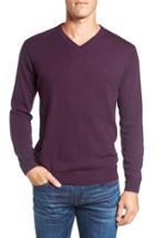Men's Rodd & Gunn 'inchbonnie' Wool & Cashmere V-neck Sweater - Purple