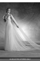Women's Atelier Pronovias Nepal Lace & Tulle V-neck Gown With Cascading Train, Size In Store Only - Ivory