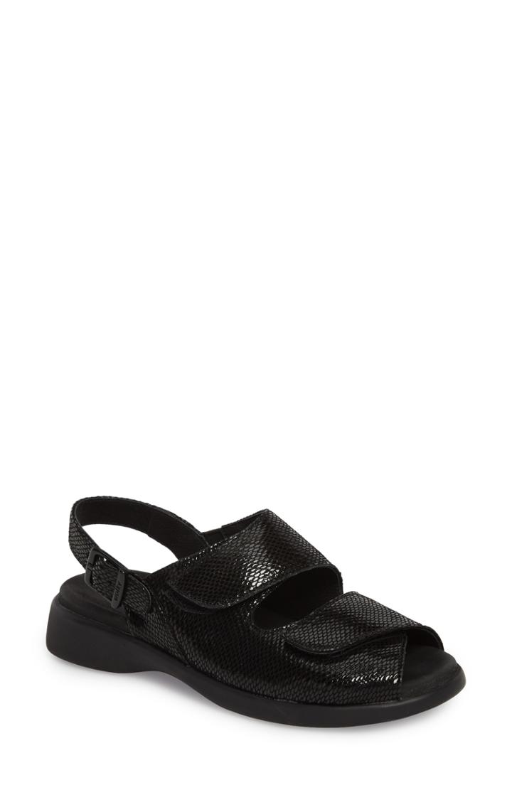 Women's Wolky Nimes Sandal .5-10us / 41eu - Black