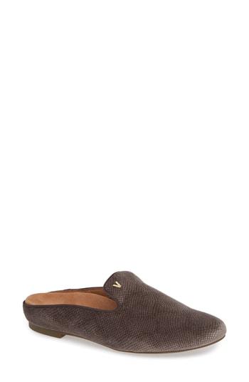 Women's Vionic Carnegie Mule .5 M - Grey