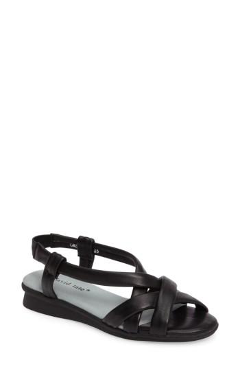 Women's David Tate Bay Sandal M - Black