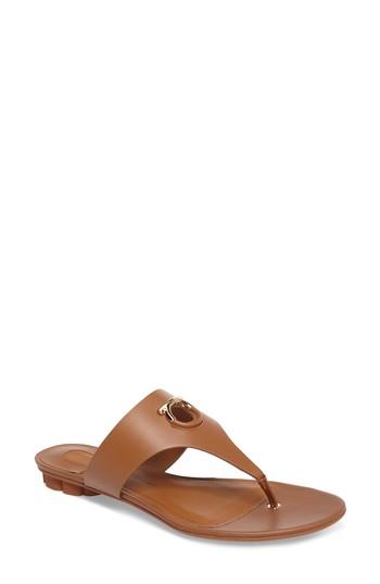 Women's Salvatore Ferragamo Gancio Thong Sandal C - Brown