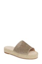 Women's Caslon Cammy Platform Slide Sandal M - Grey