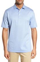 Men's Peter Millar Briarwood Stripe Cotton Polo, Size - Blue