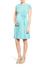 Women's Leota 'ilana' A-line Maternity Dress - Blue