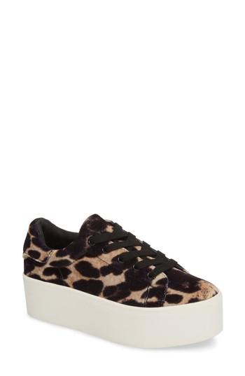 Women's Steve Madden Palmer Sneaker .5 M - Brown