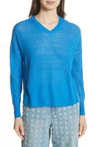 Women's Isabel Marant Etoile Wool & Alpaca Blend Sweater Us / 34 Fr - Blue