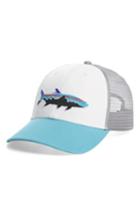 Men's Patagonia Fitz Roy Tarpon Trucker Hat -