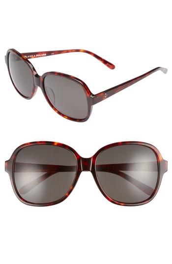 Women's Blanc & Eclare Beijing 61mm Polarized Sunglasses - Tortoise