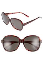 Women's Blanc & Eclare Beijing 61mm Polarized Sunglasses - Tortoise