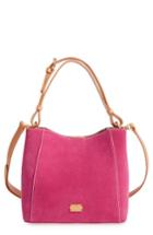 Frances Valentine Small June Leather Hobo - Pink