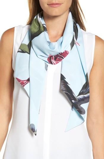 Women's Ted Baker London Eden Skinny Scarf, Size - Blue