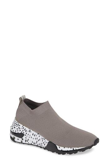 Women's Steve Madden Cloud Sock Wedge Sneaker M - Grey