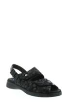 Women's Wolky Nimes Sandal -11.5us / 43eu - Black