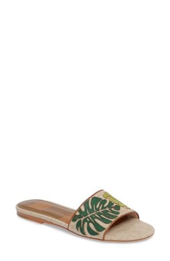 Women's Dolce Vita Kevin Slide Sandal