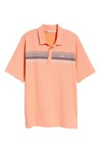 Men's Travis Mathew Happy Jelly Fit Polo, Size Large - Pink