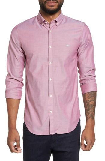 Men's Lacoste Button-down Sport Shirt