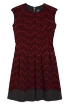 Women's Gabby Skye Flocked Fit & Flare Dress
