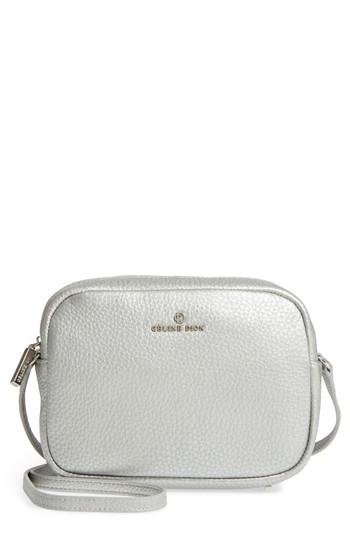 Celine Dion Adagio Leather Camera Crossbody Bag - Metallic