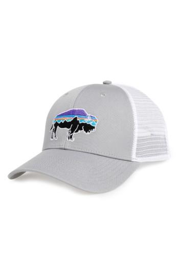 Men's Patagonia 'fitz Roy Bison' Trucker Hat -